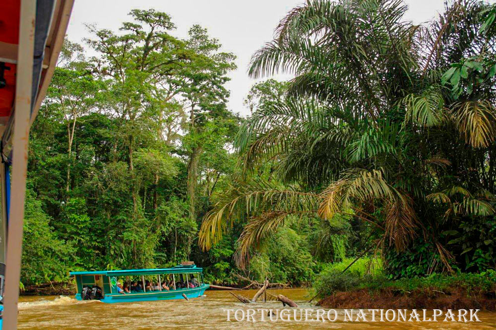 Tortuguero Nationalpark